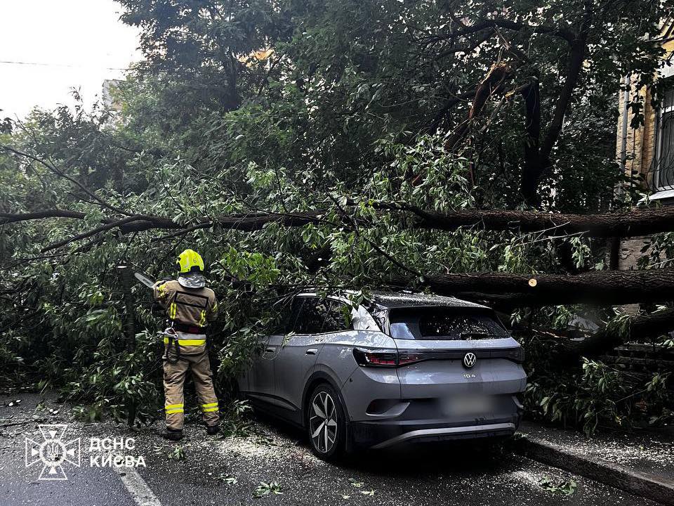 Наслідки негоди у Києві: зафіксовано три десятки повалених дерев, 5 людей отримали травми