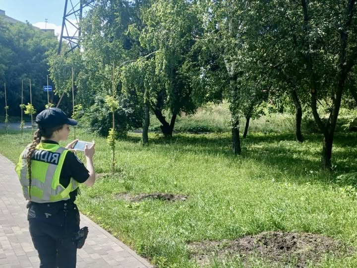 У Подільському районі викрали сакури зі скверу пам’яті загиблих українських журналістів