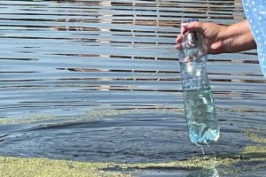 На Київщині на трьох пляжах річки Рось виявили перевищення кишкової палички