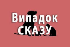 На Білоцерківщині сказився домашній пес, випадок зараження розслідують На Білоцерківщині сказився домашній пес, випадок зараження розслідують