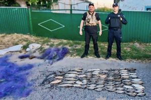 Правоохоронці Київщини задокументували незаконний вилов риби на понад 167 тис. гривень Правоохоронці Київщини задокументували незаконний вилов риби на понад 167 тис. гривень