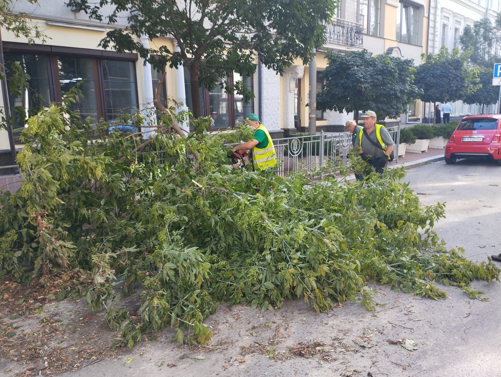 У Києві ліквідовують наслідки буревію, який повалив понад 170 дерев (без назви)