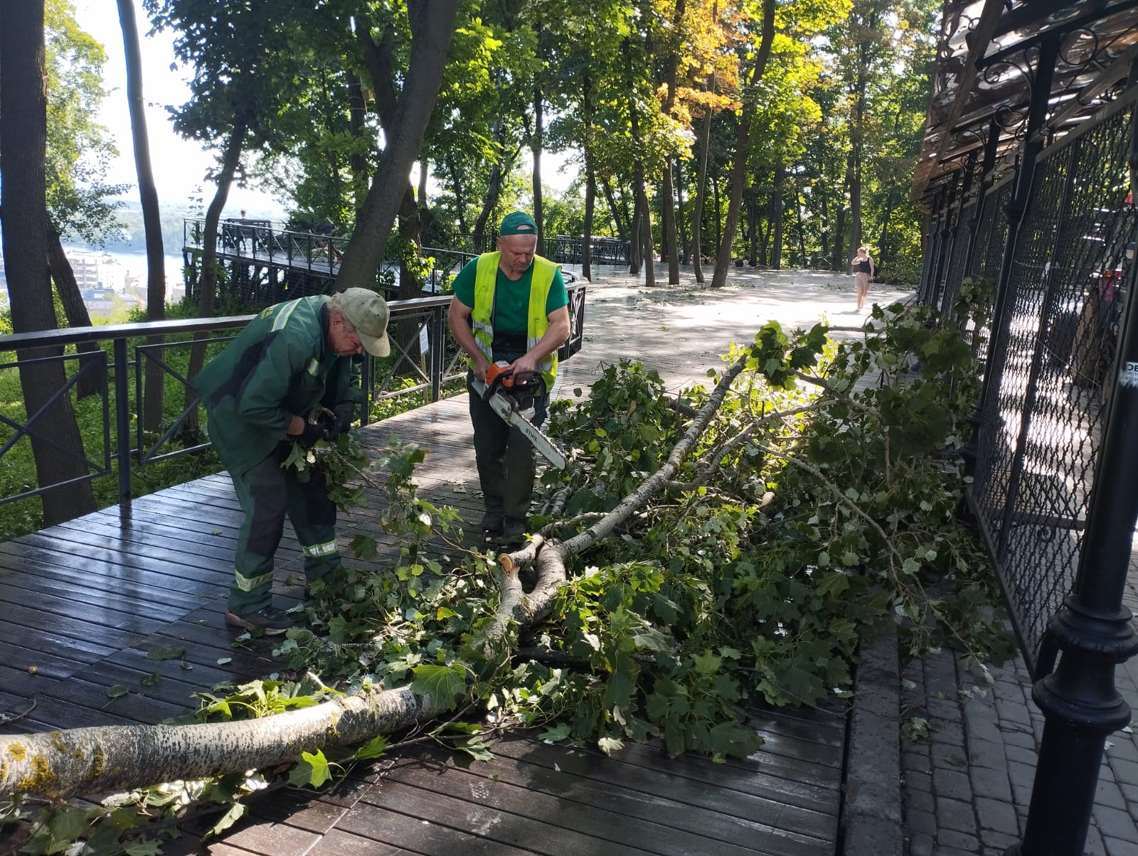 У Києві ліквідовують наслідки буревію, який повалив понад 170 дерев Авточернетка