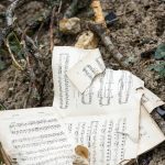 Нічна атака на Київ: вже 9 загиблих, серед них дитина (фото)