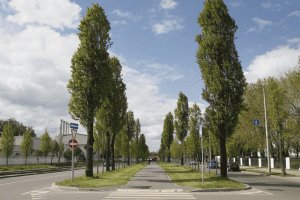 У Києві до кінця літа обмежать рух бульваром Вацлава Гавела (схема) У Києві до кінця літа обмежать рух бульваром Вацлава Гавела (схема)
