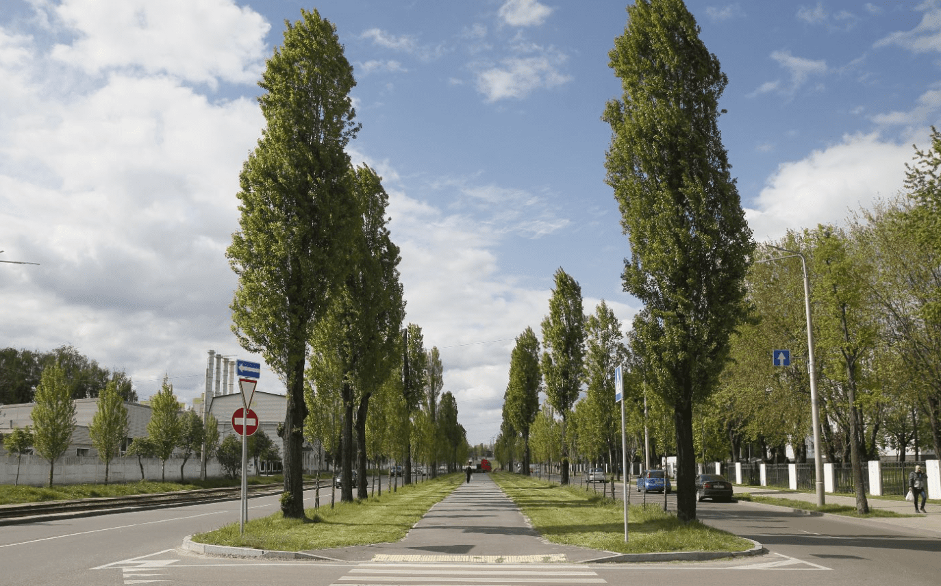 У Києві до кінця літа обмежать рух бульваром Вацлава Гавела (схема)