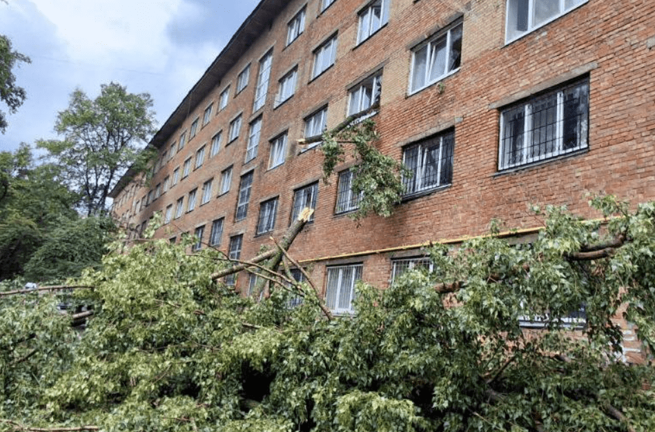 У Києві через негоду впав будівельний кран (відео)