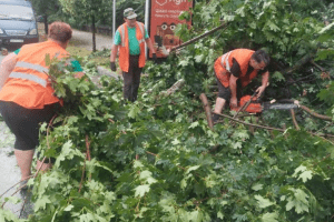 Наслідки негоди у Києві: зафіксовано три десятки повалених дерев, 5 людей отримали травми (фото) Наслідки негоди у Києві: зафіксовано три десятки повалених дерев, 5 людей отримали травми (фото)