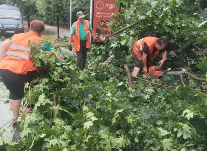 Наслідки негоди у Києві: зафіксовано три десятки повалених дерев, 5 людей отримали травми (фото)