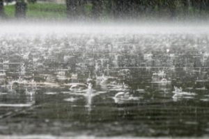 Укргідрометцентр попередив Київ і область про значний дощ, грозу і шквальний вітер