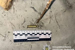 На Вишгородщині поліцейські повідомили про підозру місцевому мешканцю, який застрелив собаку сусіда