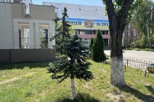 Ліцей на столичній Троєщині майже за 3 млн гривень збирається замінити вікна у своїй будівлі (адреса) Ліцей на столичній Троєщині майже за 3 млн гривень збирається замінити вікна у своїй будівлі (адреса)