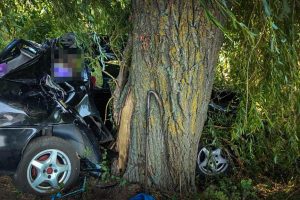 На Білоцерківщині автомобіль влетів у дерево: загинув 12-річний хлопчик, постраждала жінка На Білоцерківщині автомобіль влетів у дерево: загинув 12-річний хлопчик, постраждала жінка