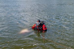 У Києві в річці Десенка потонула людина