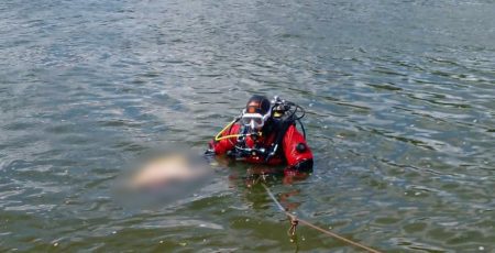 У Києві в річці Десенка потонула людина