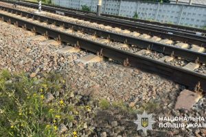 У Борисполі швидкісний потяг збив насмерть 78-річну жінку У Борисполі швидкісний потяг збив насмерть 78-річну жінку