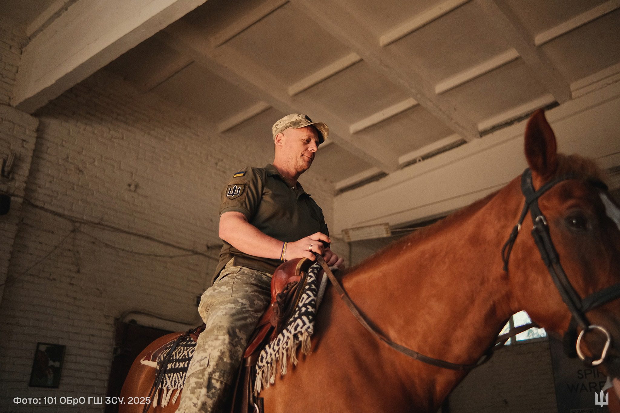 Де у Києві сходити на іпотерапію і де є акції для ветеранів, військових та їхніх сімей