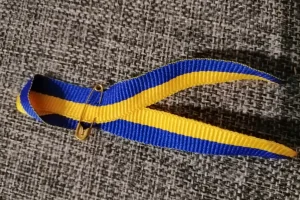 До Дня Незалежності проведуть всесвітній флешмоб “Жовто-блакитна стрічка” До Дня Незалежності проведуть всесвітній флешмоб “Жовто-блакитна стрічка”
