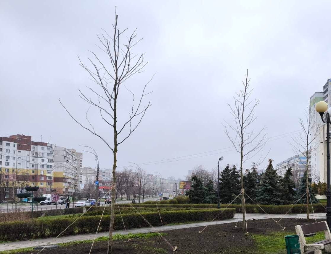 Від початку року “Київзеленбуд” висадив у столиці понад 3 млн квітів