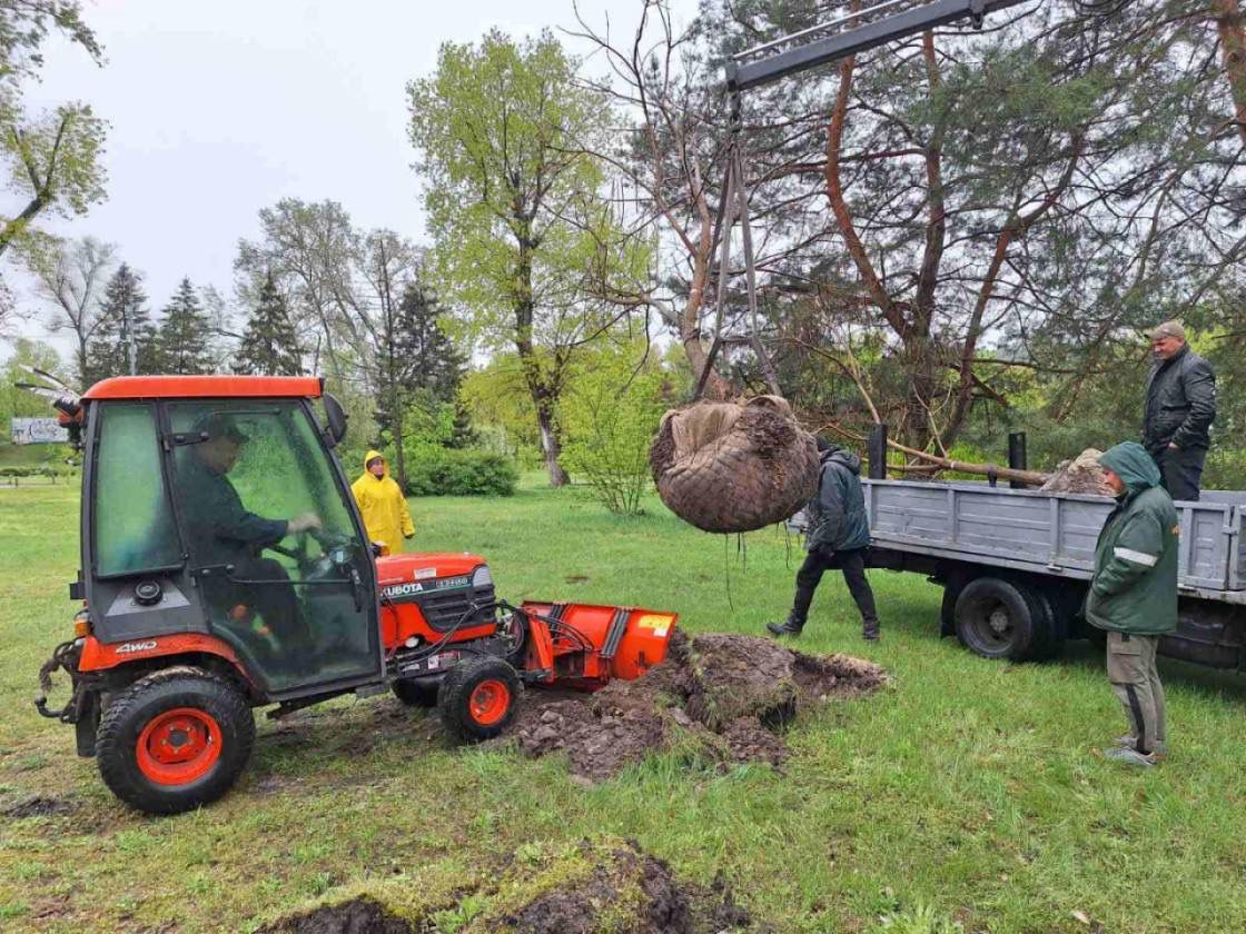 Від початку року “Київзеленбуд” висадив у столиці понад 3 млн квітів