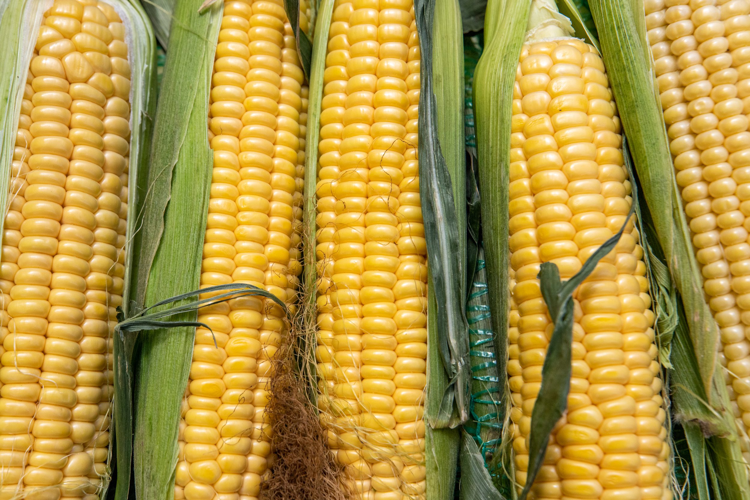 КМДА оприлюднила перелік локацій, де цього тижня відбудуться ярмарки