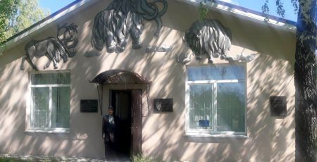 Де під Києвом відвідати унікальний історичний музей та подивитися на рештки мамонтів 