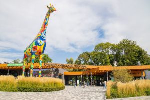 Київський зоопарк спрямовує майже 1 млн гривень на вікна та двері Київський зоопарк спрямовує майже 1 млн гривень на вікна та двері