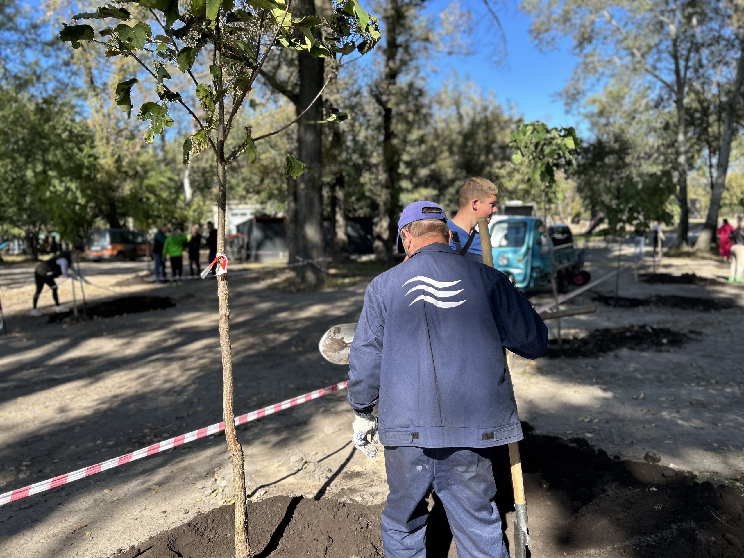 На Долобецькому острові на місці стихійної парковки висадили 44 катальпи (фото)