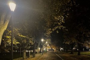 На Глибочицькій за 15 млн гривень замінять ліхтарні лампи На Глибочицькій за 15 млн гривень замінять ліхтарні лампи