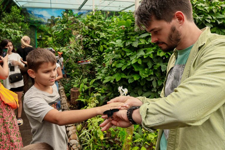 На Київщині діти з патронатних родин отримали яскраві враження від тропічного світу метеликів (фото)