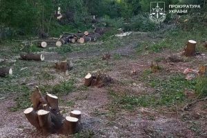 Правоохоронці почали розслідування вирубки дерев в районі Совських ставків у Києві Правоохоронці почали розслідування вирубки дерев в районі Совських ставків у Києві