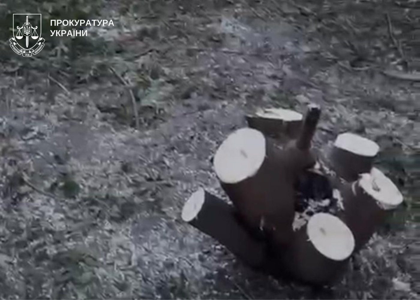 Правоохоронці почали розслідування вирубки дерев в районі Совських ставків у Києві