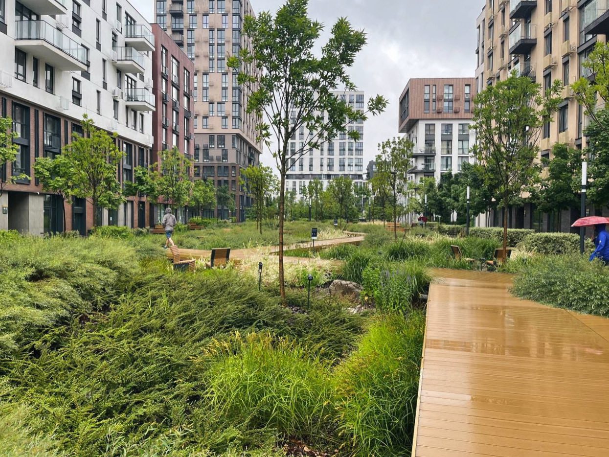 У KAN розповіли про природну систему водовідведення «дощовий сад» в “Файна Таун” У KAN розповіли про природну систему водовідведення «дощовий сад» в “Файна Таун”