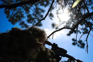 Від початку доби найбільше боєзіткнень відбулося на Покровському, Новопавлівському та Лиманському напрямках, - Генштаб ЗСУ