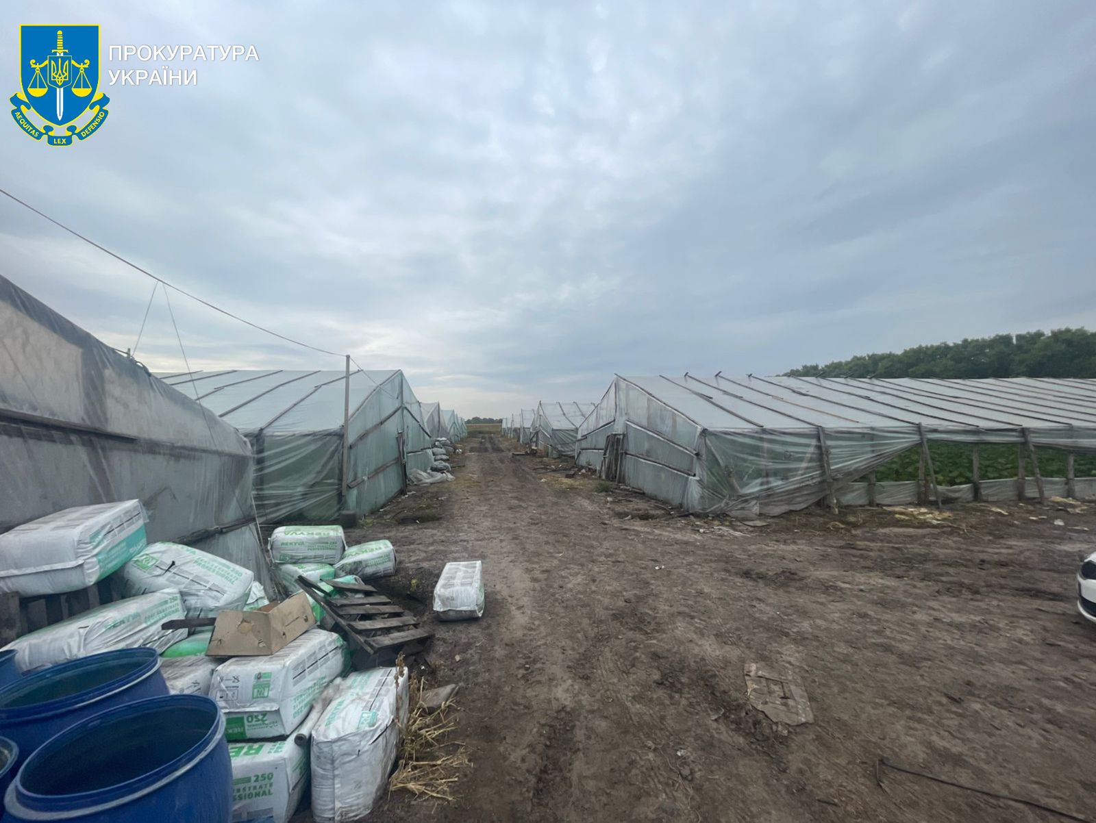 Рабська праця на Київщині: громадянин Китаю організував на фермі експлуатацію заробітчан з Узбекистану (фото, відео)