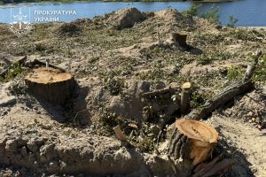 На березі Русанівської протоки розслідують порубку дерев неподалік зведення ЖК
