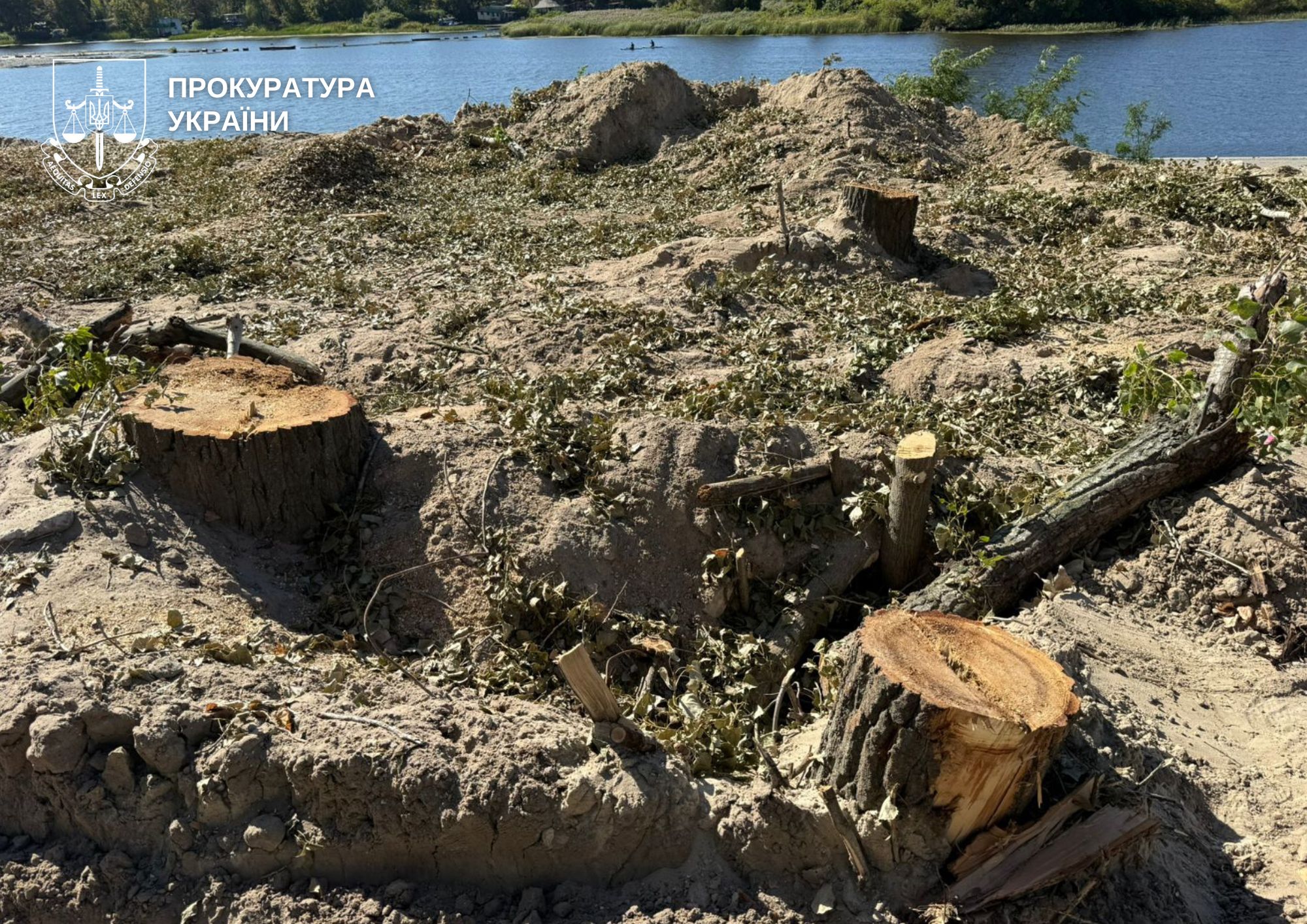 На березі Русанівської протоки розслідують порубку дерев неподалік зведення ЖК