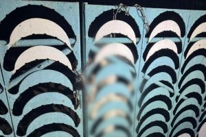 На Київщині чоловік повісив собаку на паркані