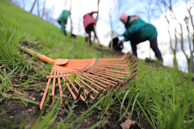 У Києві стартував осінній місячник благоустрою та озеленення
