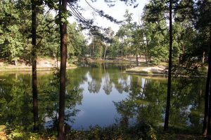Начальник КМВА надав КП “Конча-Заспа” дозвіл на використання природних ресурсів Голосіївського нацпарку Начальник КМВА надав КП "Конча-Заспа" дозвіл на використання природних ресурсів Голосіївського нацпарку