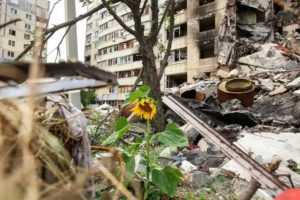 Держекоінспекція порахувала збитки довкіллю, завдані росією за час повномасштабної війни Держекоінспекція порахувала збитки довкіллю, завдані росією за час повномасштабної війни