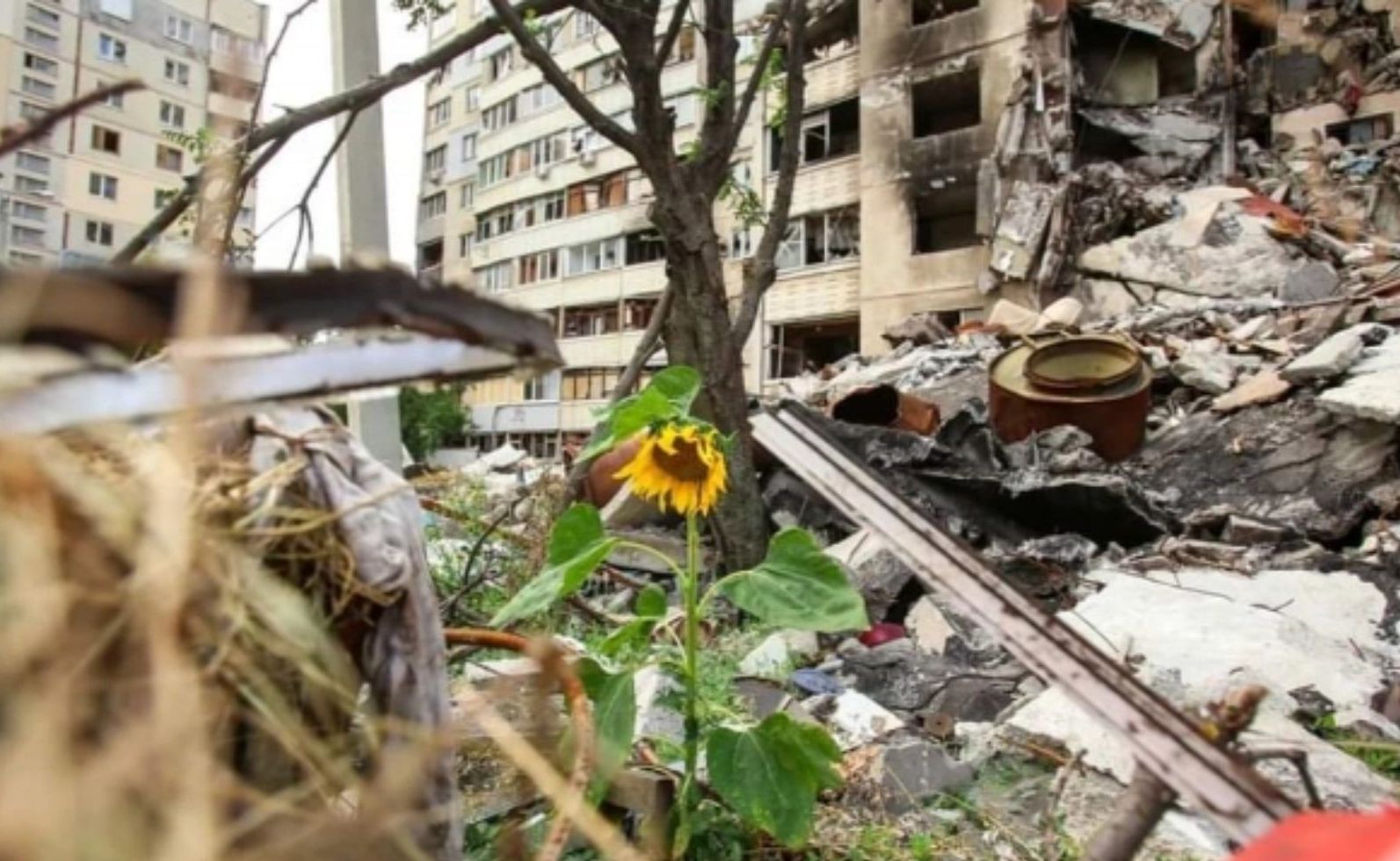 Держекоінспекція порахувала збитки довкіллю, завдані росією за час повномасштабної війни