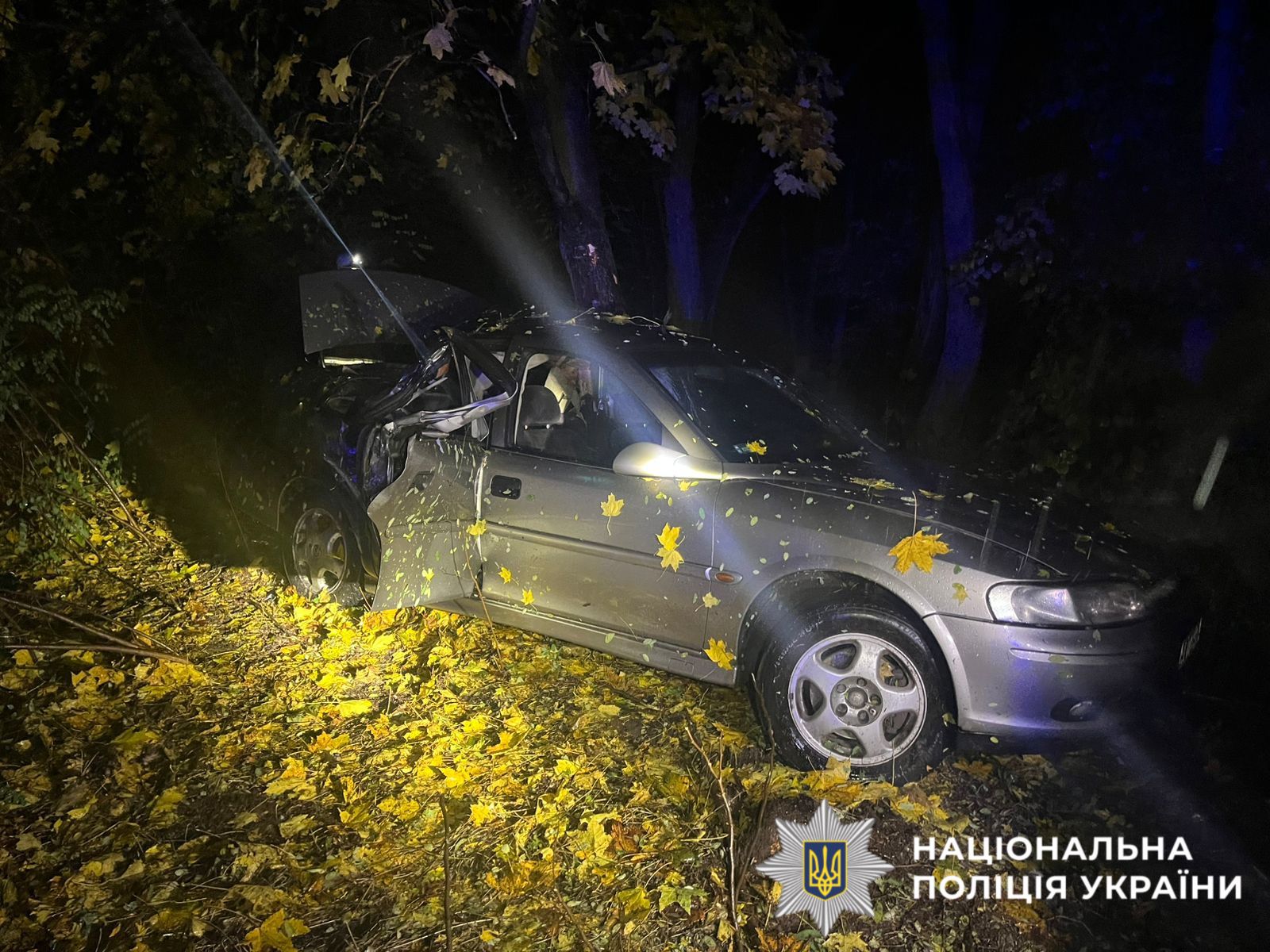 На Бучанщині 15-річний водій врізався у дерево: один підліток загинув, шестеро - травмовані (фото) На Білоцерківщині 52-річний водій наїхав на пішохіда та скрився з місця ДТП (фото)