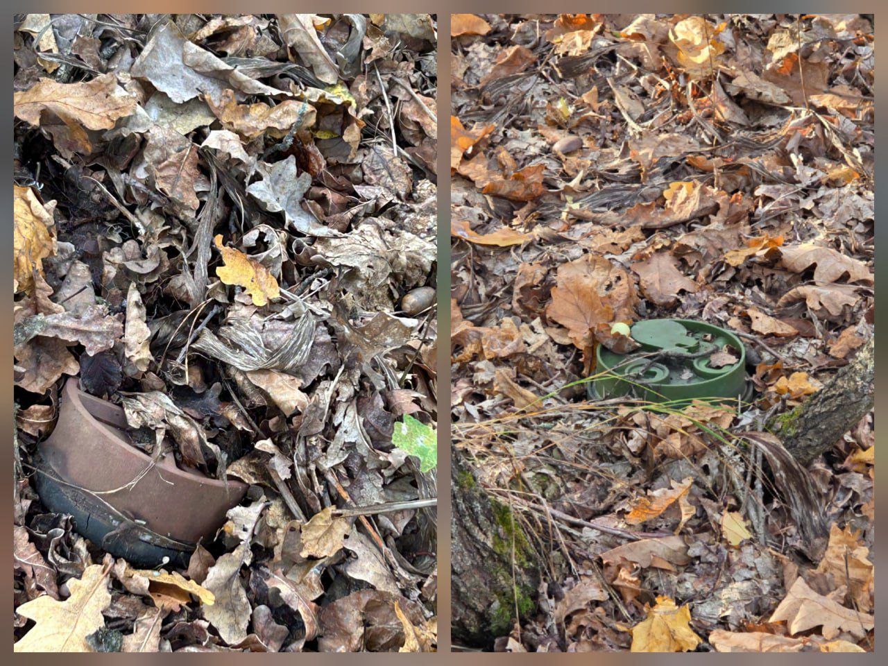 У лісі поблизу Ірпеня знайшли протипіхотні міни