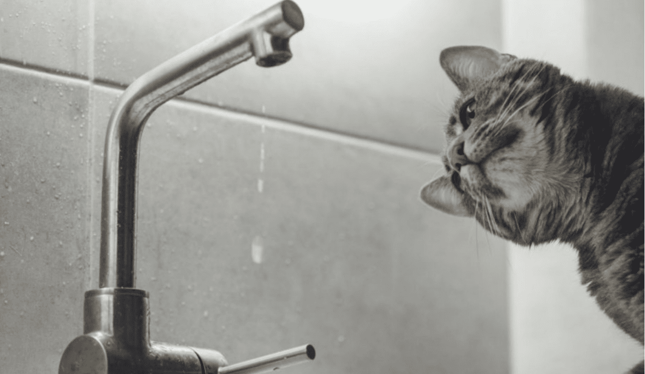 На Оболоні через промивання мережі водопостачання можливе зниження тиску води (адреси)