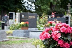 На будівництво нового кладовища в Славутичі докинуть 32,6 млн гривень