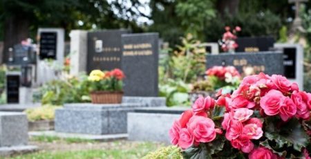 На будівництво нового кладовища в Славутичі докинуть 32,6 млн гривень На будівництво нового кладовища в Славутичі докинуть 32,6 млн гривень