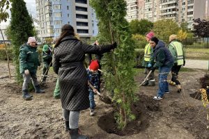Фахівці “Київзеленбуда” прикрасили туями сквер на проспекті Григоренка (фото) Фахівці "Київзеленбуда" прикрасили туями сквер на проспекті Григоренка (фото)