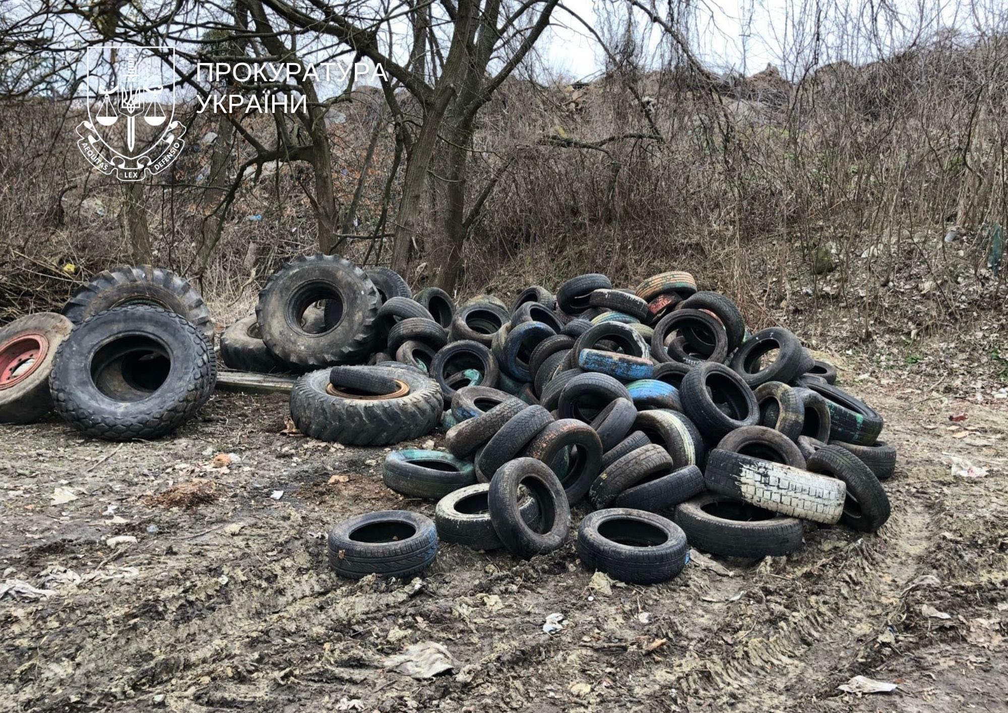 Столичний суд зобов’язав комунальне підприємство ліквідувати сміттєзвалище в парку «Балка Проня» (фото)