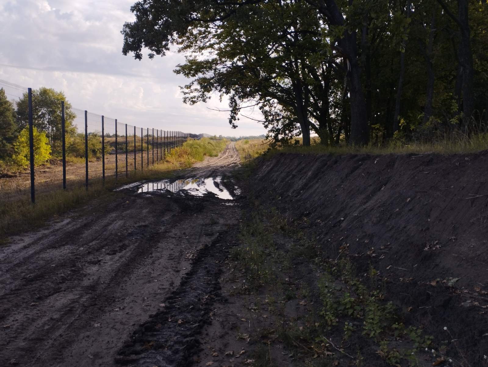 В Обухівському районі створено заказник "Змієви вали" В Обухівському районі створено заказник "Змієви вали"